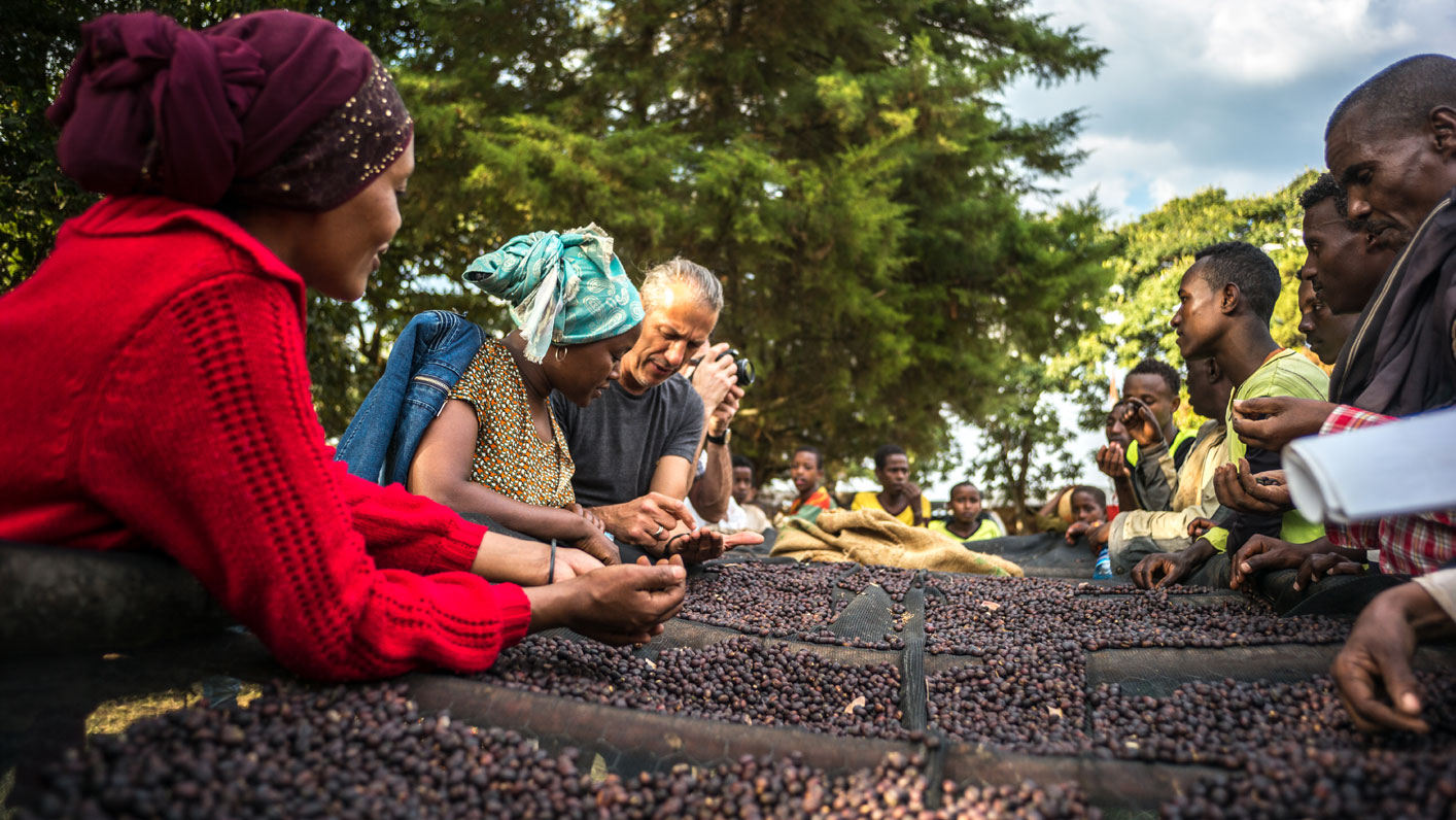 Coffee farmers looking at coffee beans in Ethiopia