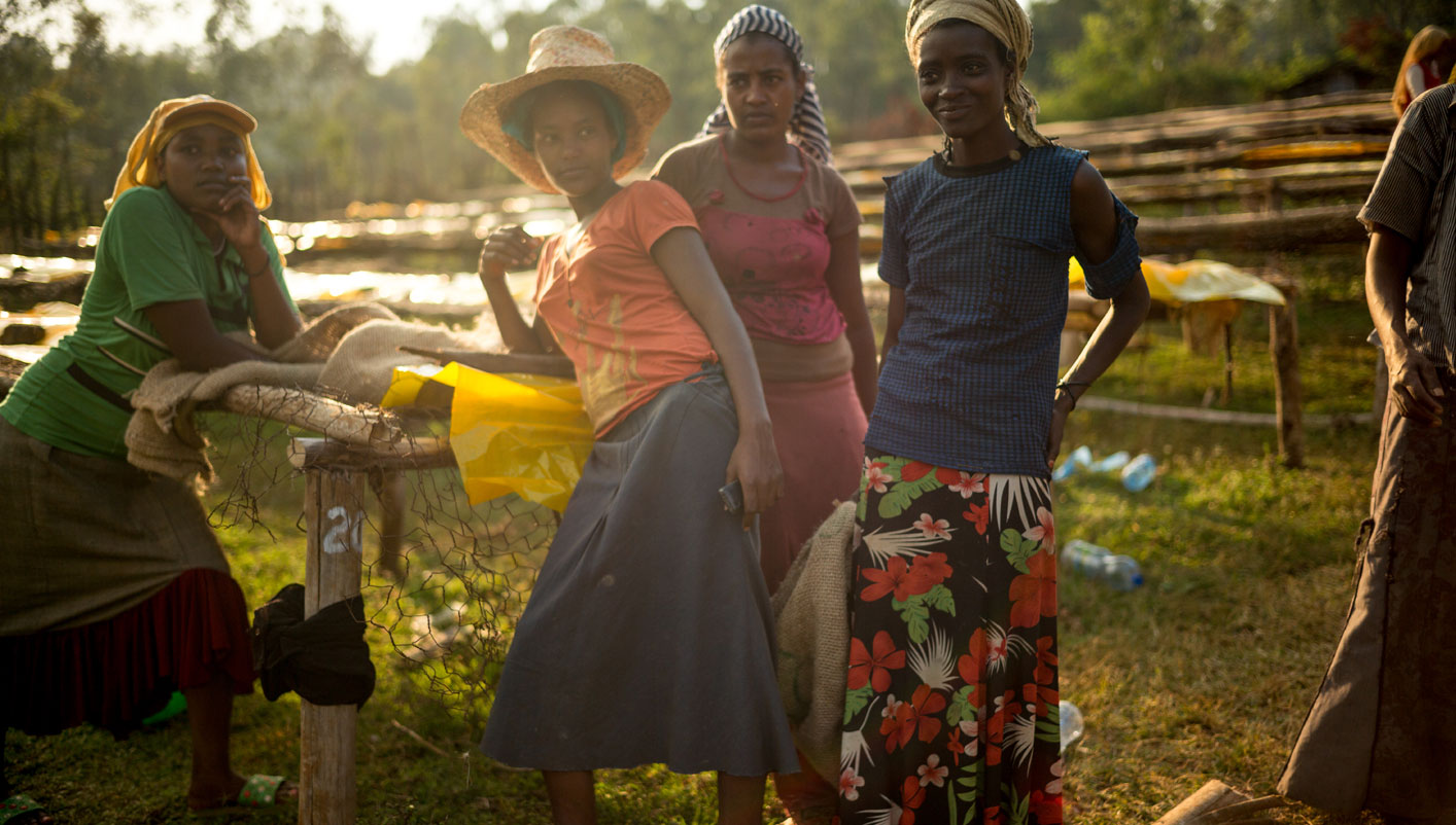 Female coffee farmers in Ethiopia 
