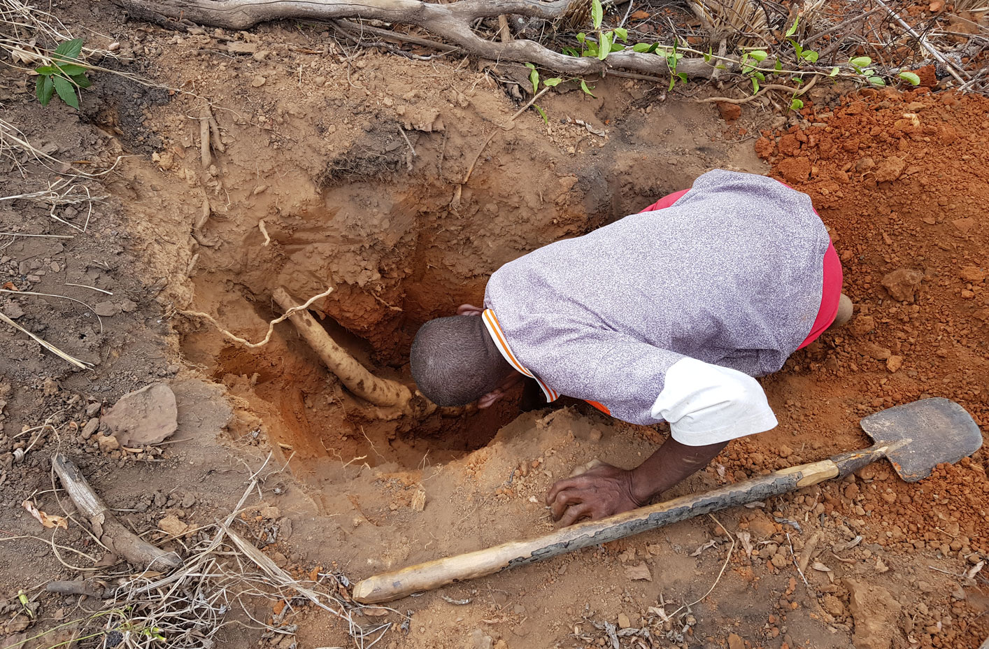 Person looking into hole in the ground for a yam