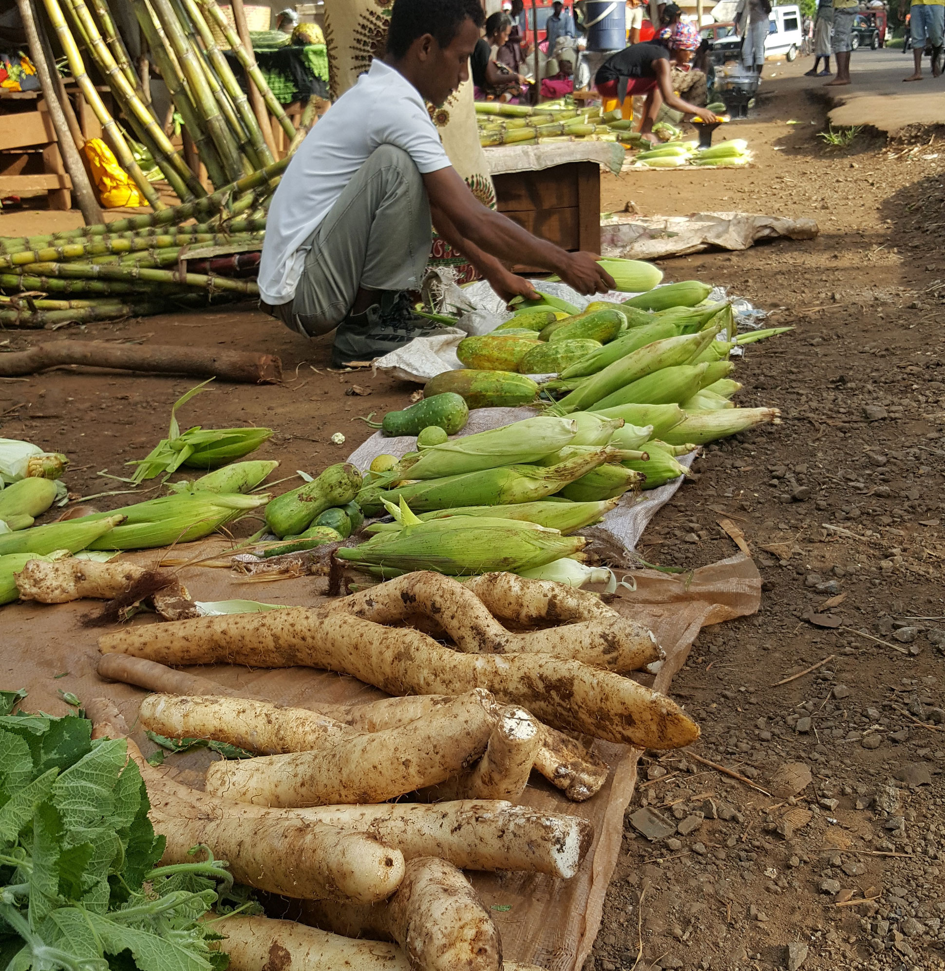 Selection of yams on road