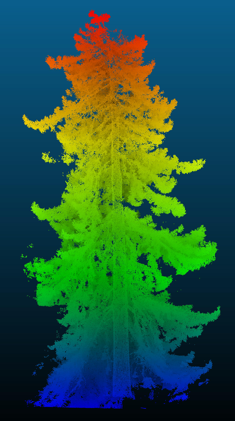 A redwood at Kew Gardens under a LiDar scan