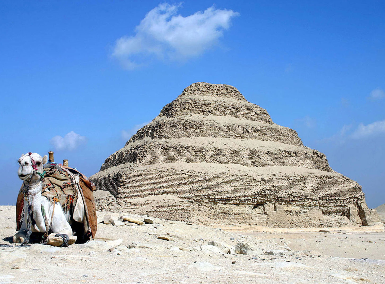 Camel sat next to pyramid