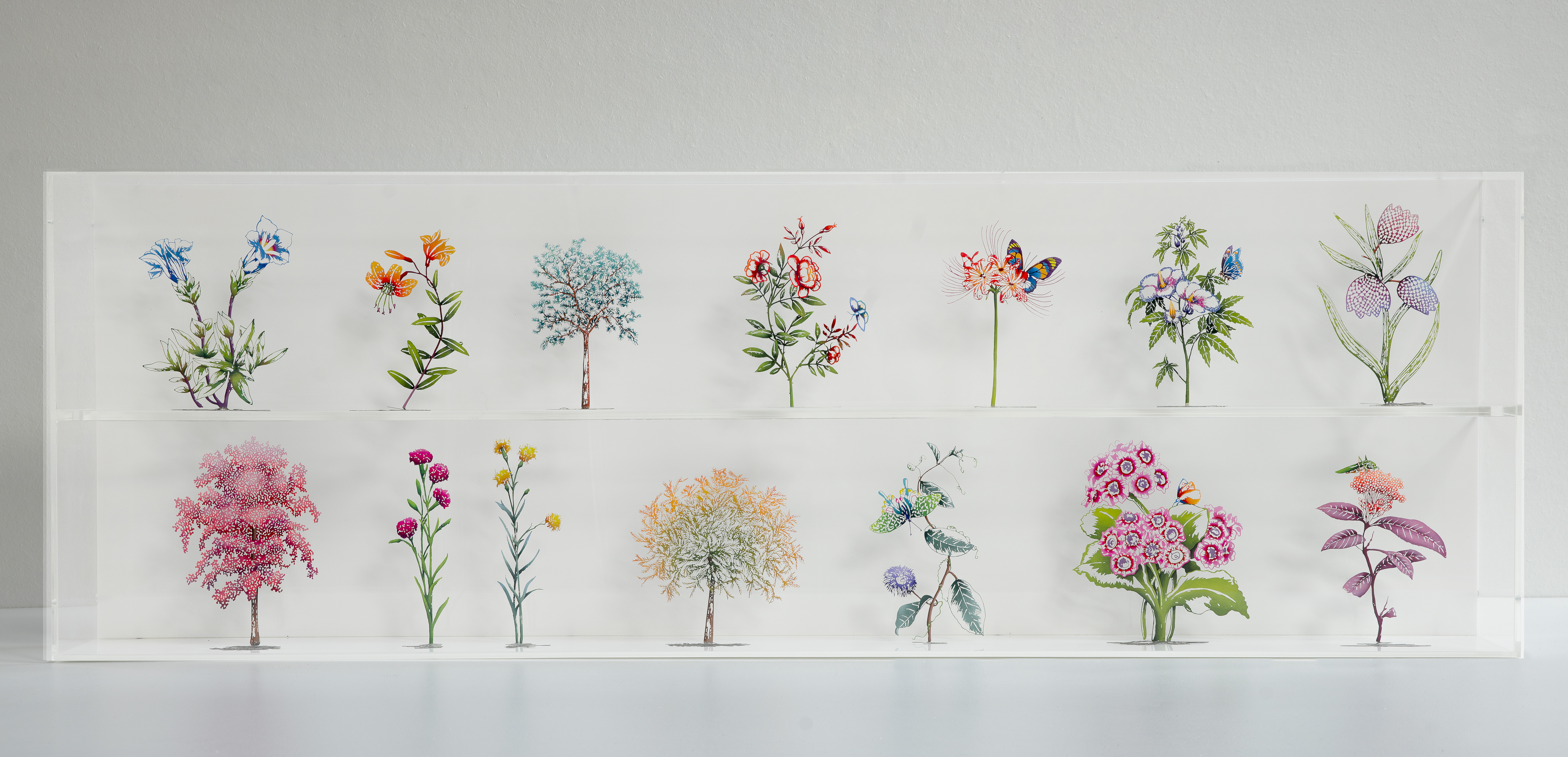 Artwork showing 14 hand painted stainless steel botanical illustrations. 