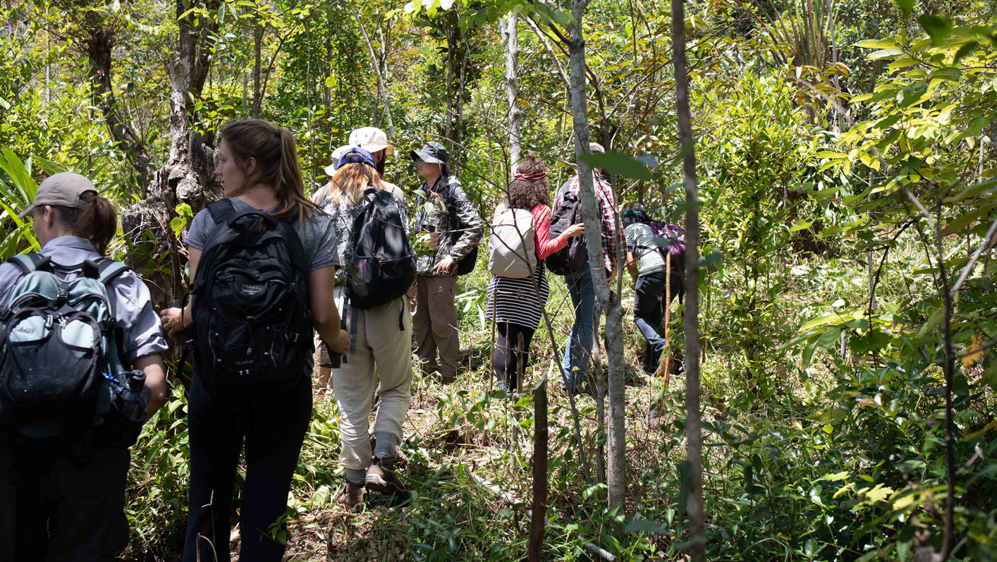Eight students trekking through forest in Madagascar with the sun shining down