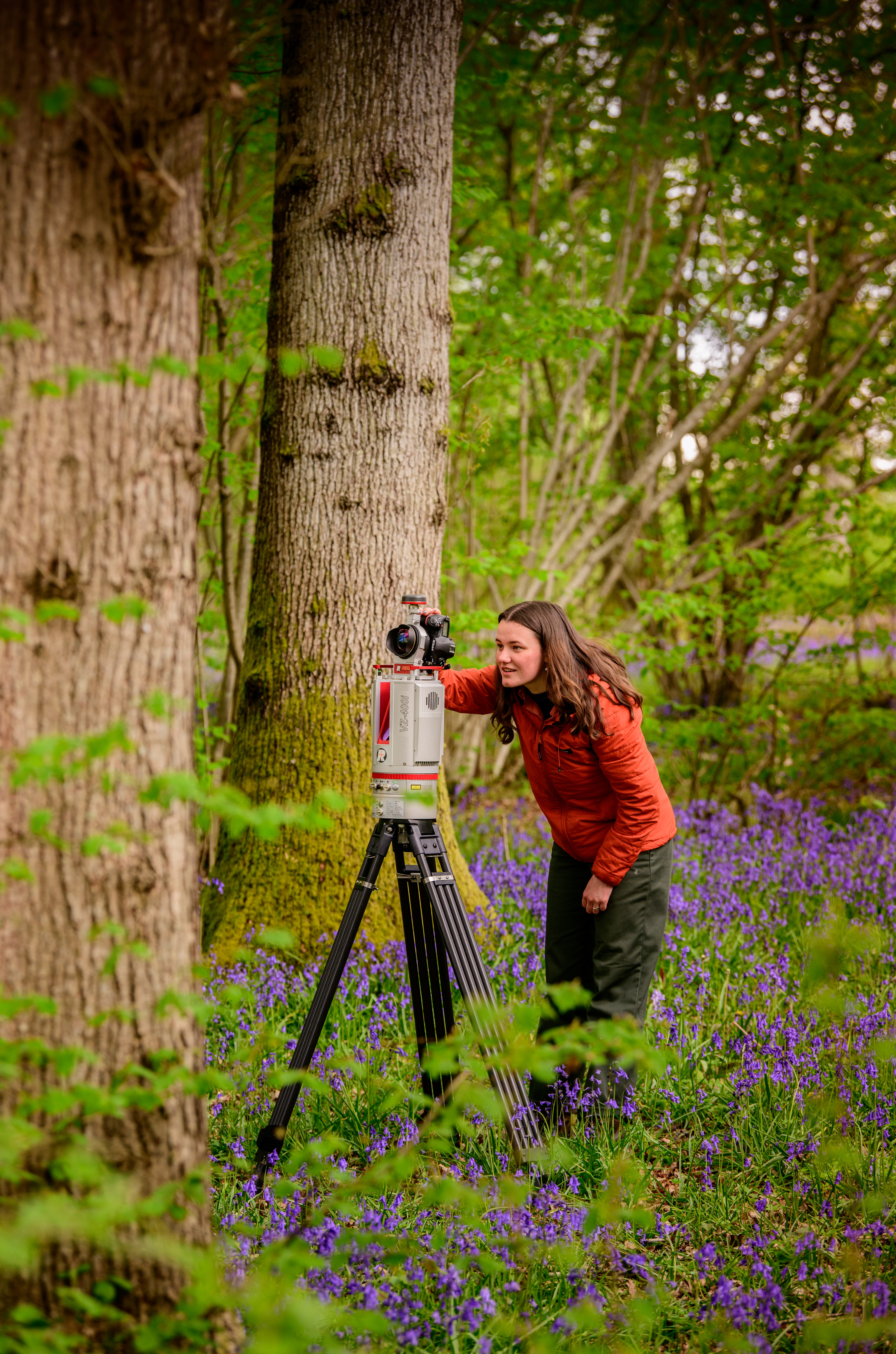Researcher looking into a camera in a field of bluebells