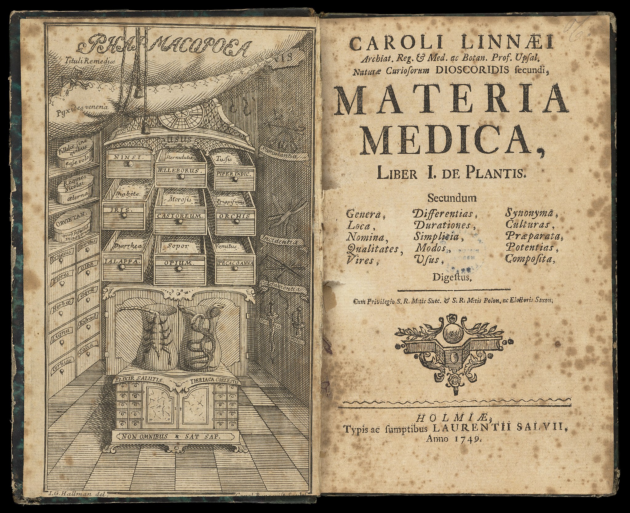 Title page to 'Materia Medica', with illustration of alchemist drawers on left side