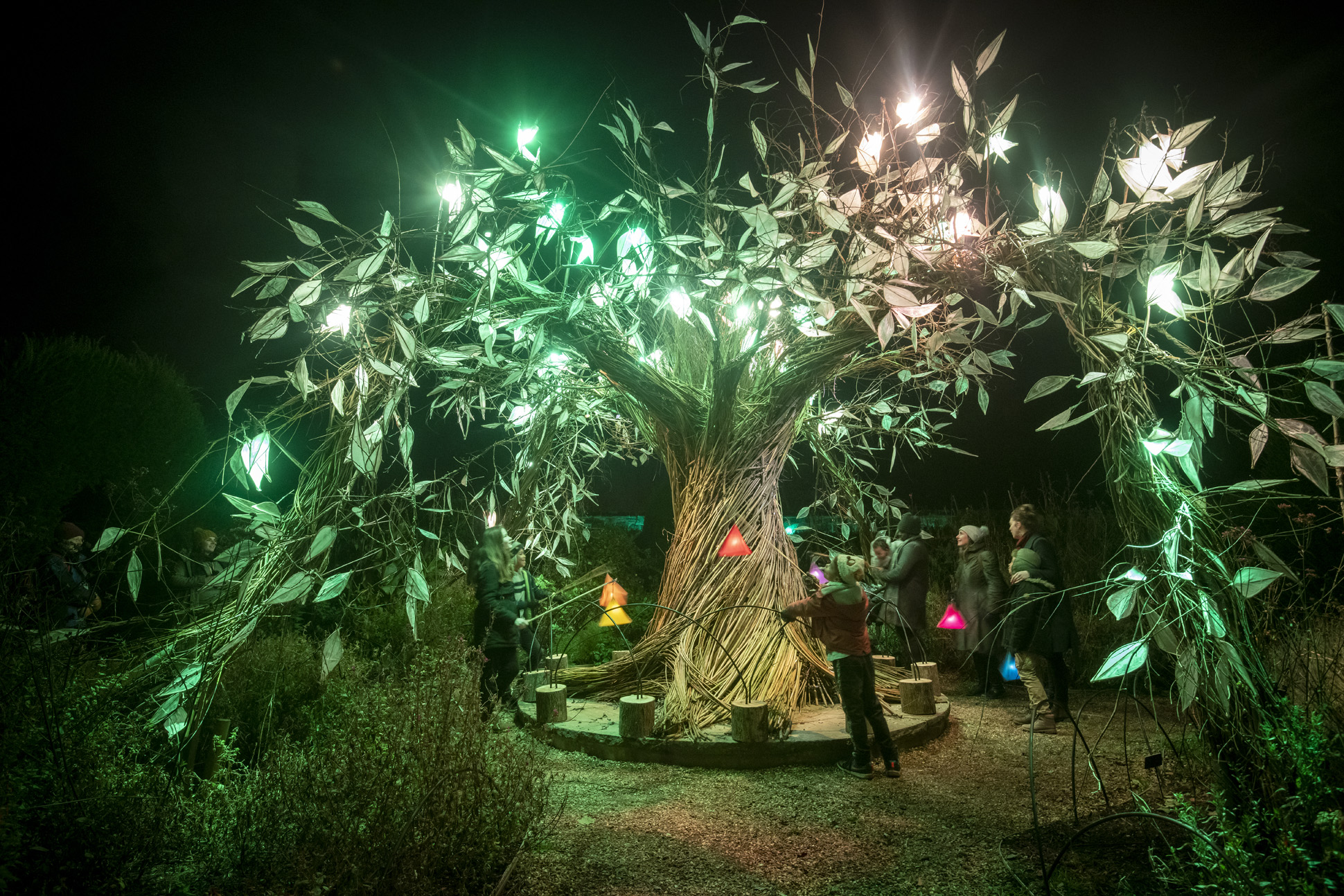 Majestic tree made of willow with illuminated leaf lanterns