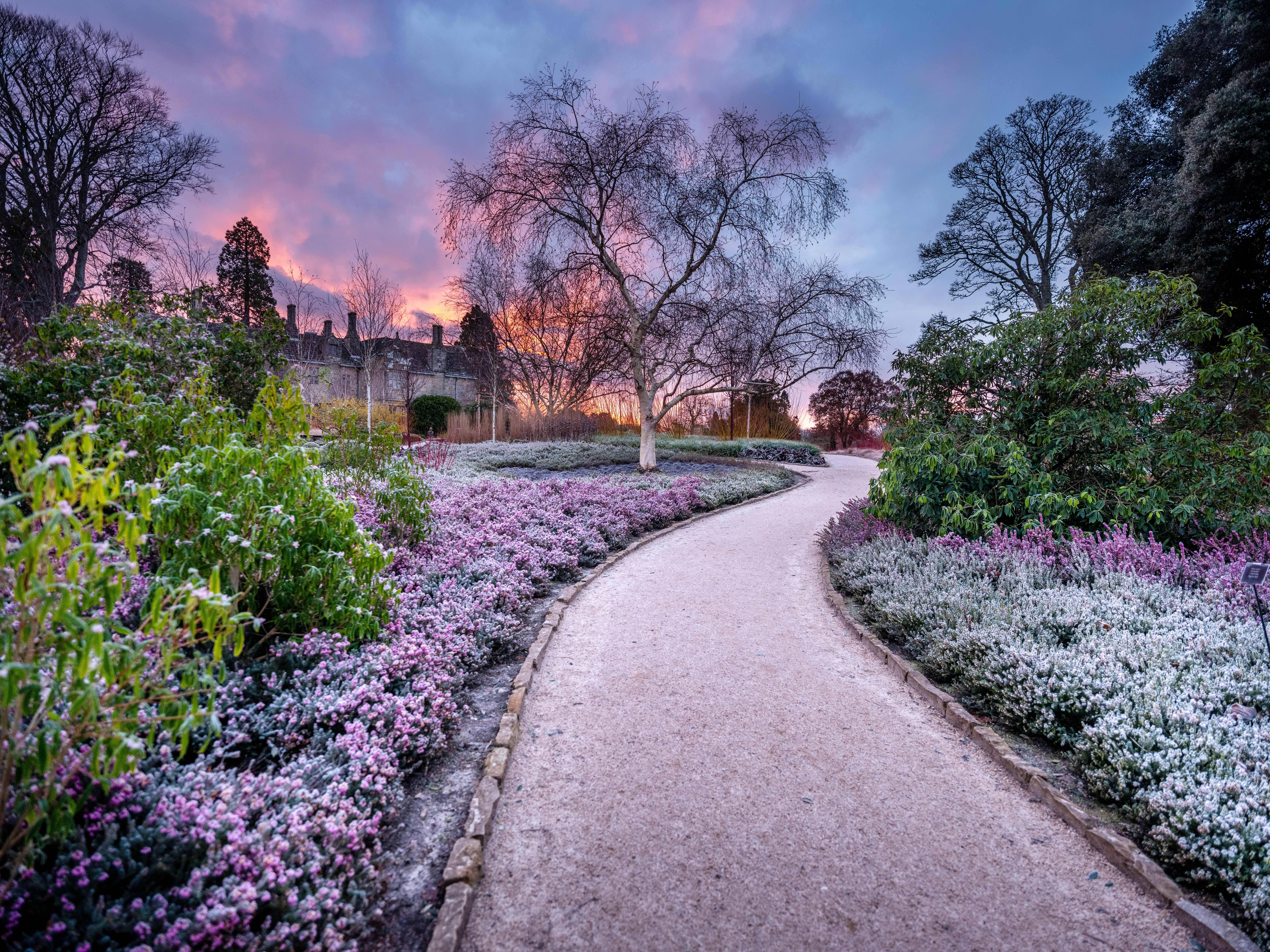 A frosty path running up to Wakehurst Mansion