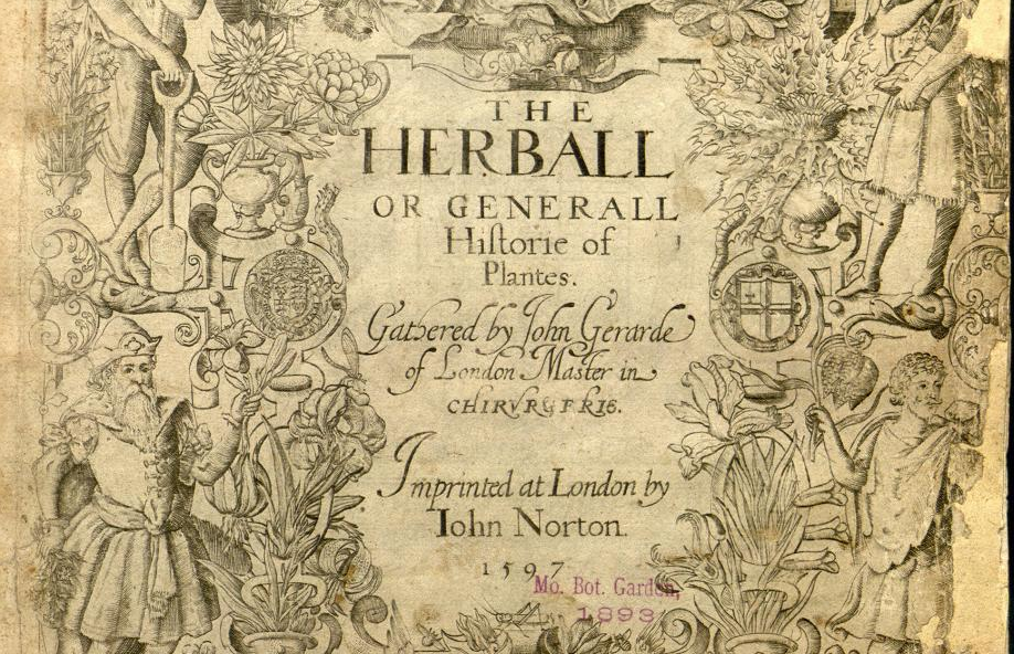 An illustrated title page from a book on plants called Herball