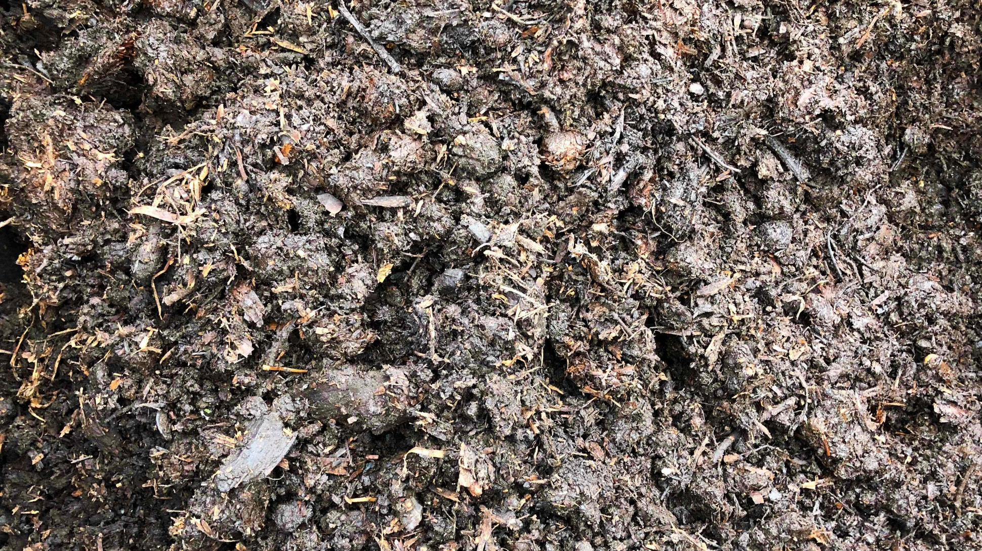 A close up shot of dark brown soil
