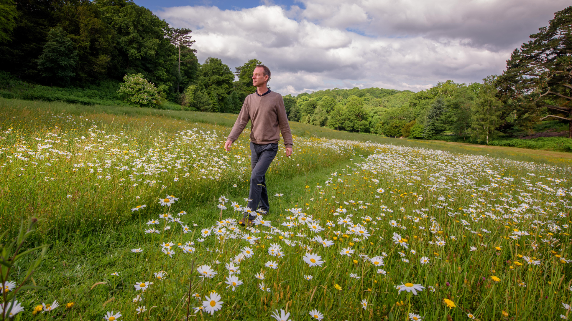 A man walking through a field of wildflowers