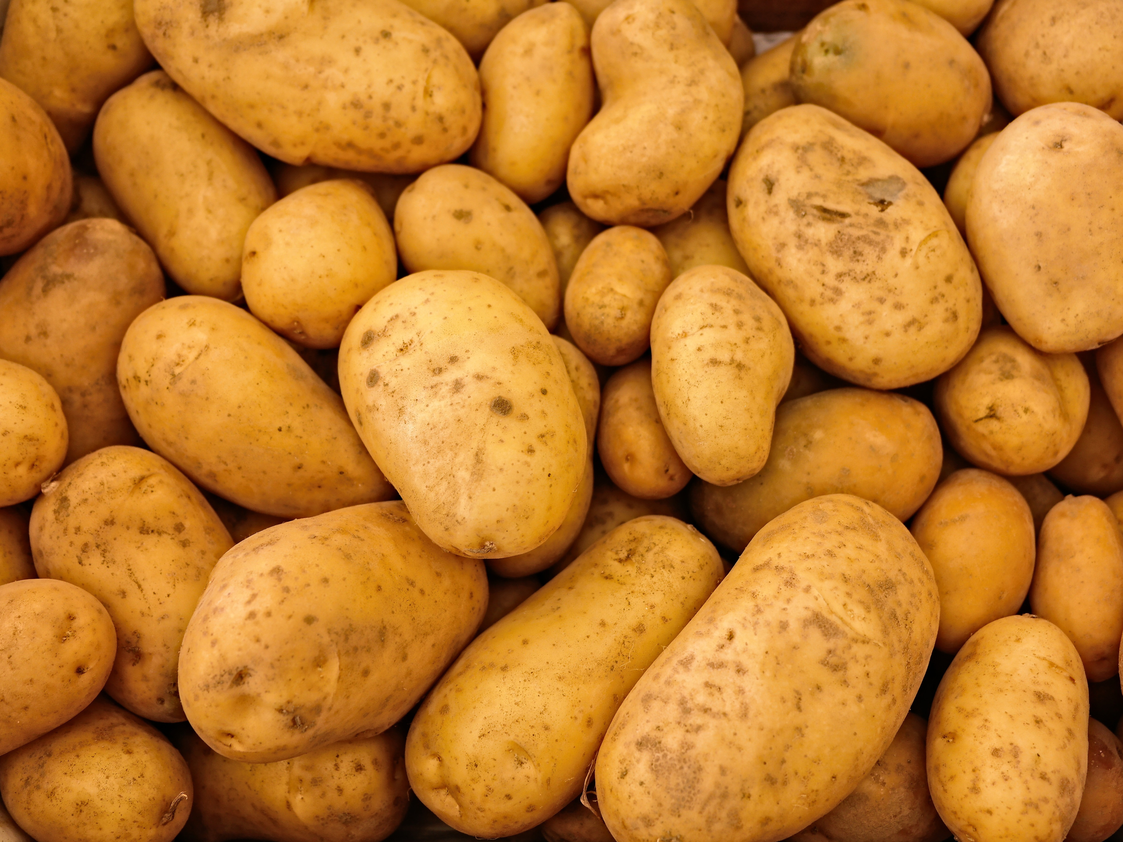 Dozens of golden brown potatoes