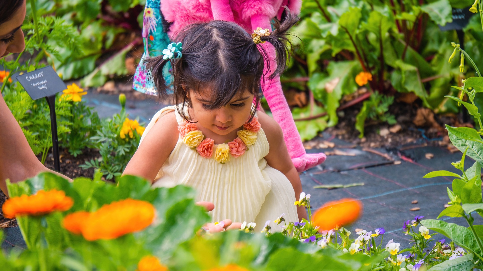 A young child crouched down in a vegetable garden