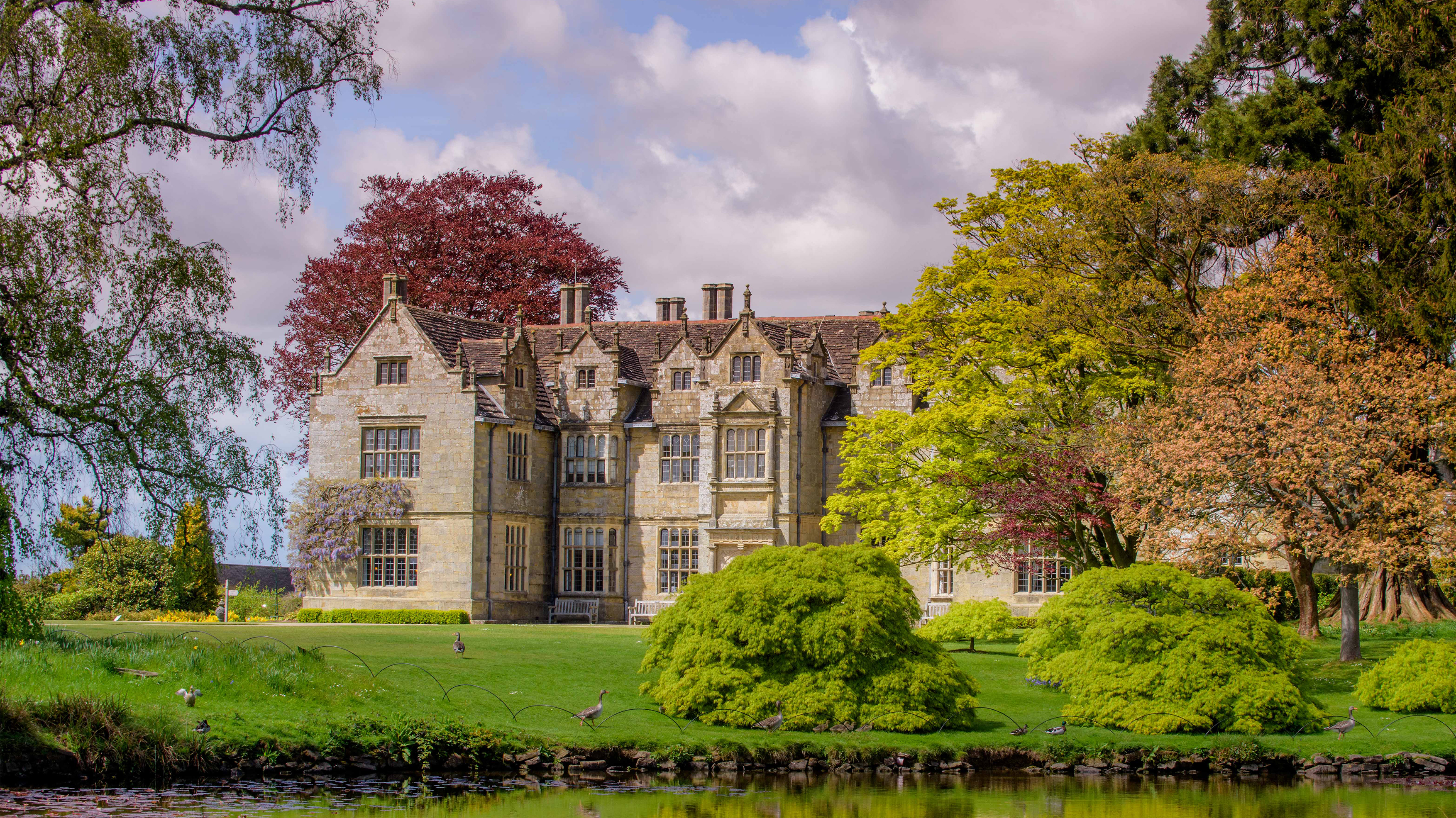 Wakehurst Mansion surrounded by trees and green grass