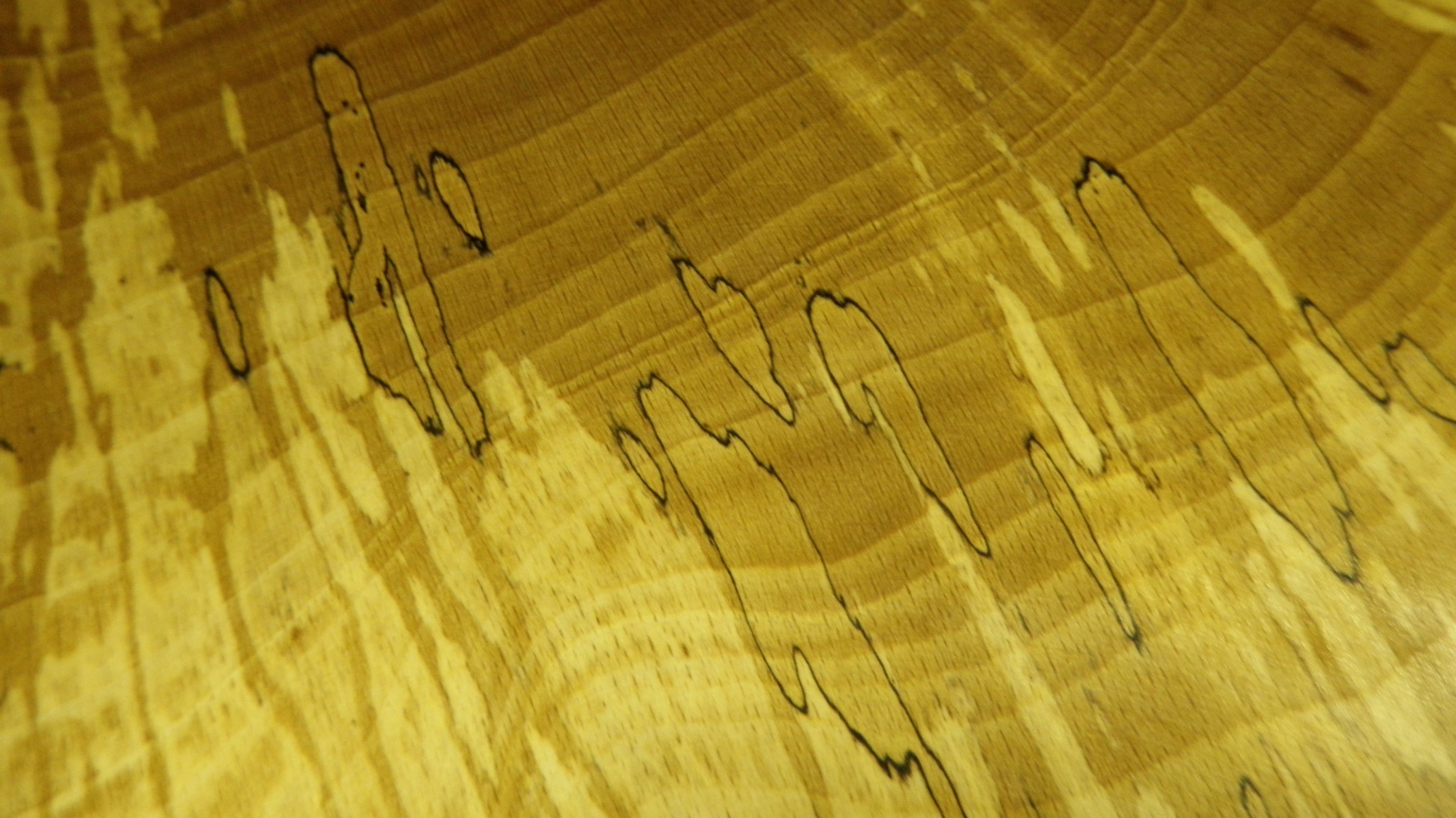 A close up on wood showing areas with lighter colouring and black lines running through it