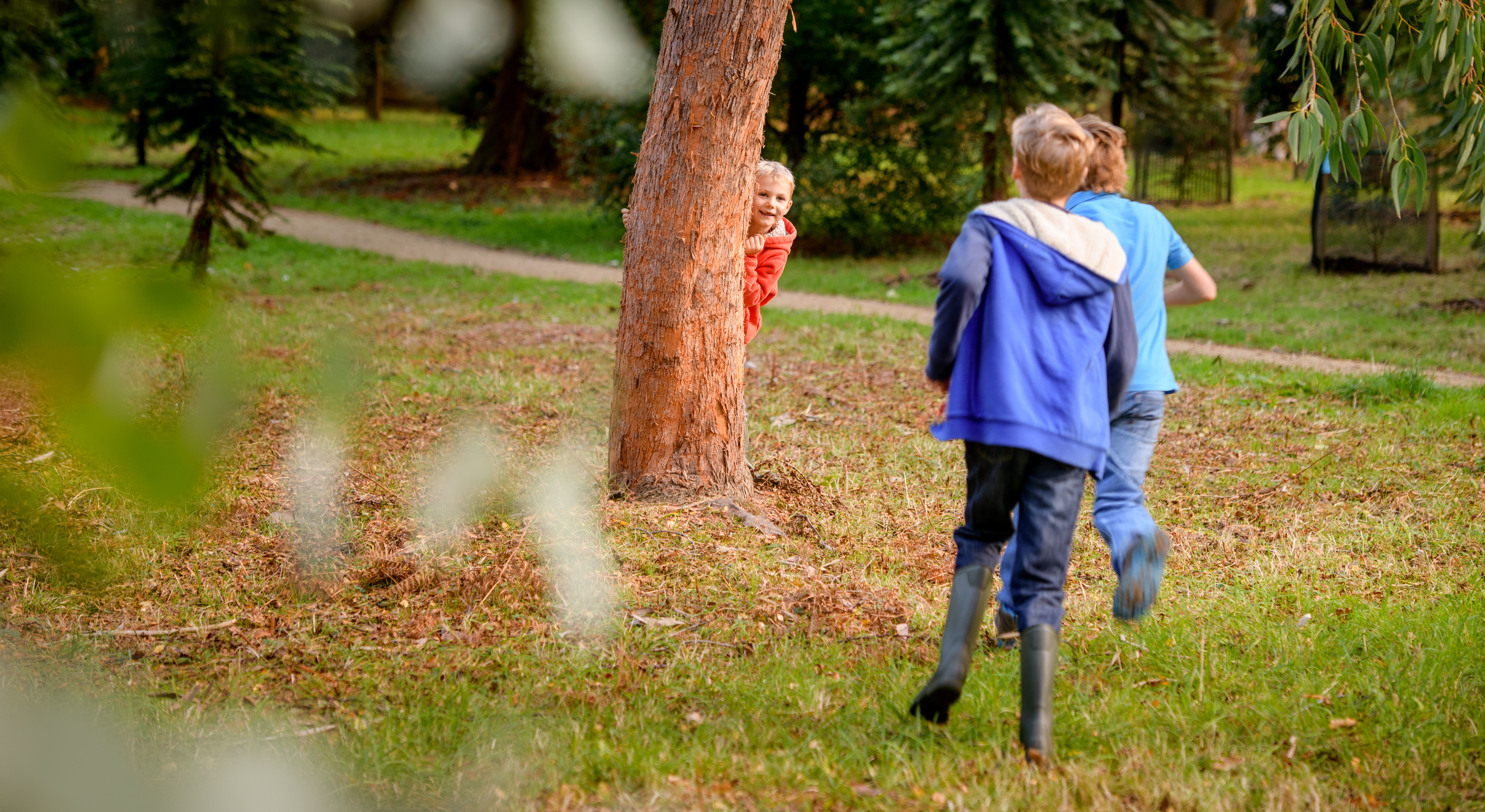 Children running in a wooded area