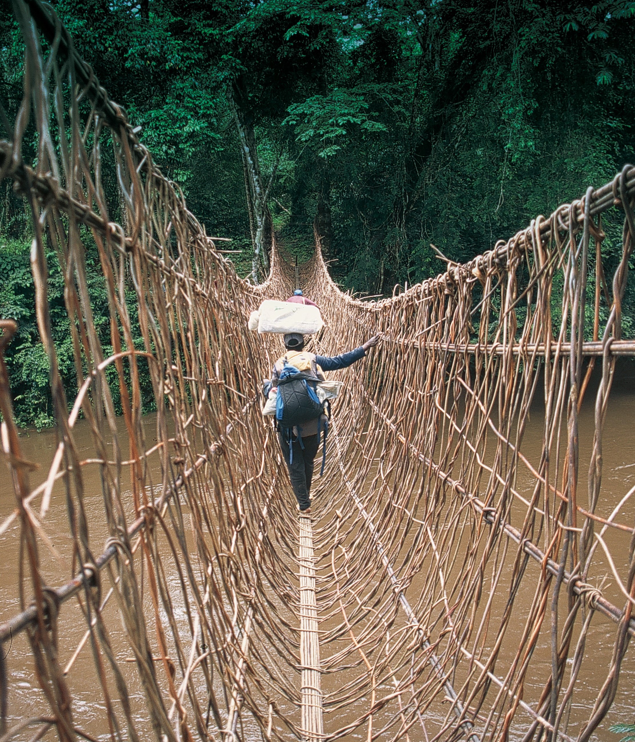 Person walks along a bridge made of Rattan palms
