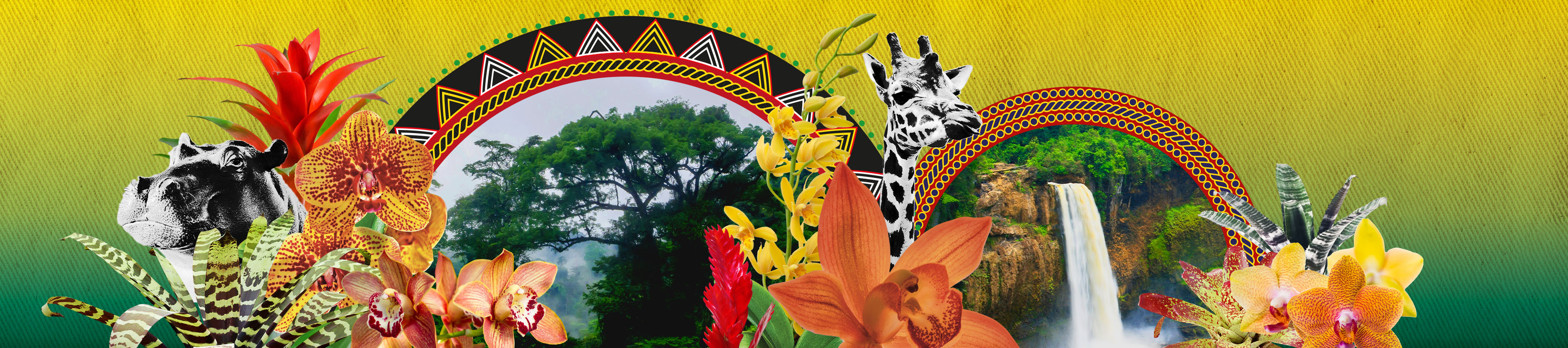 An illustrated banner showing Cameroonian plants and animals