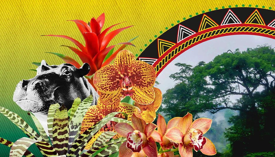 An illustrated banner showing Cameroonian plants and animals