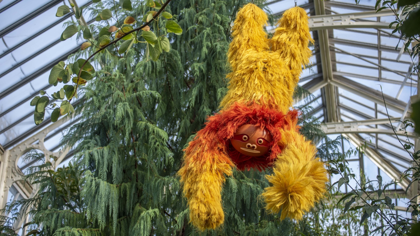 Bright yellow and orange sloth installation hanging from the ceiling of a glasshouse