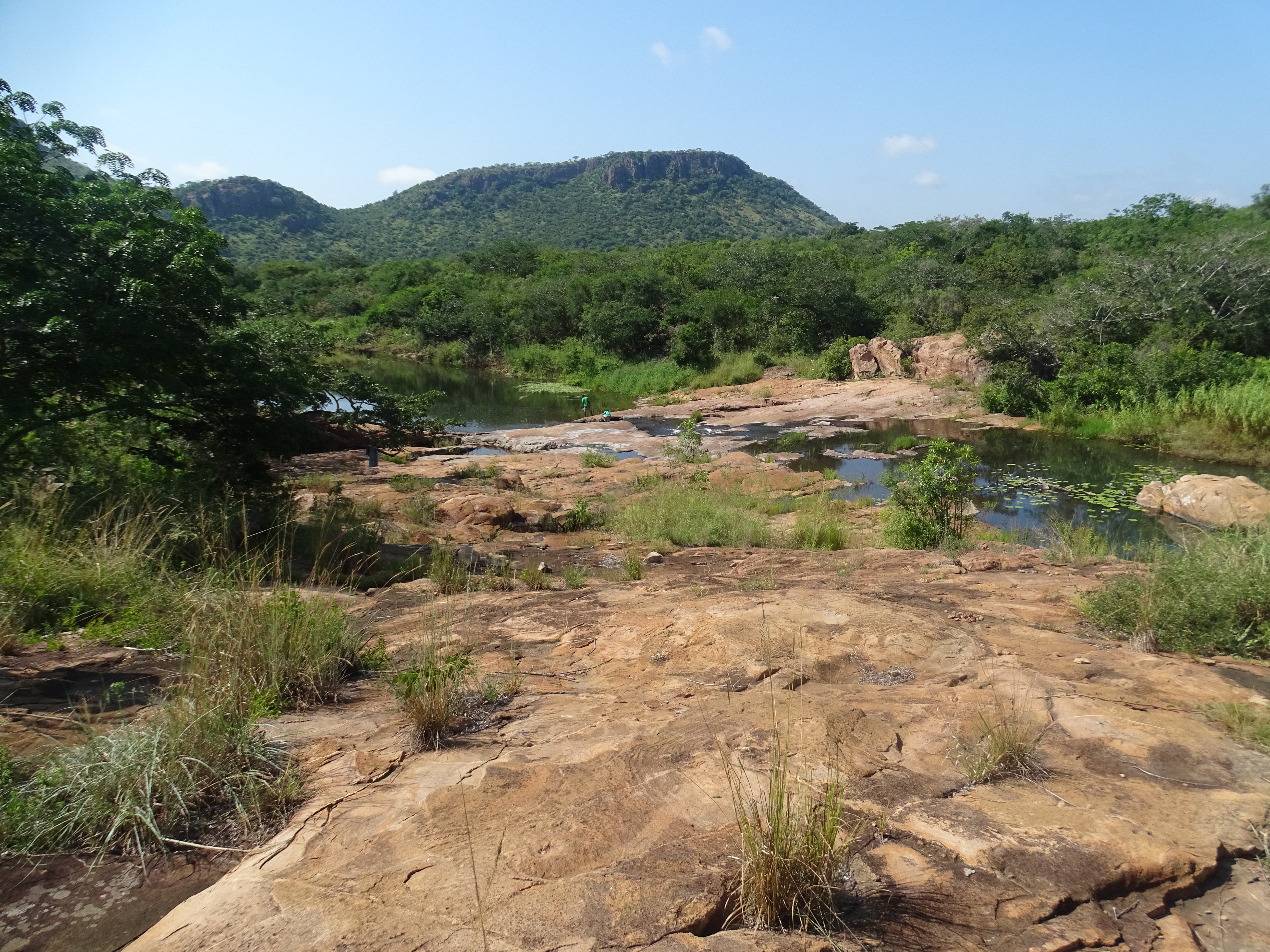 An image of Goba IPA in the Lebombo Mountains of southern Mozambique