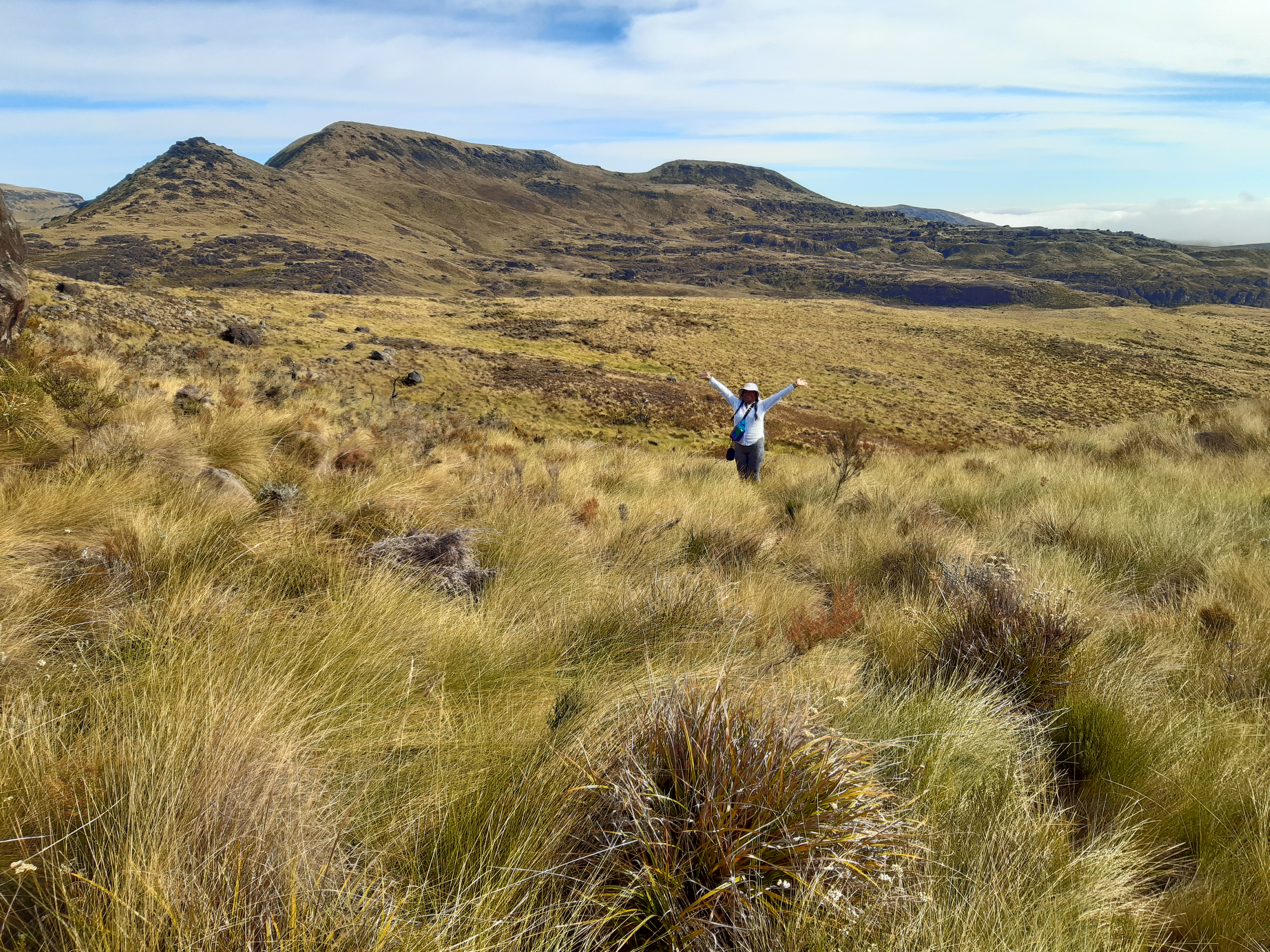 Kew MSc Student Diana Rabeharison is pictured in a vast open area of grassland. The shrubs here are so present and undulating that no single spot of flat ground is visible. 