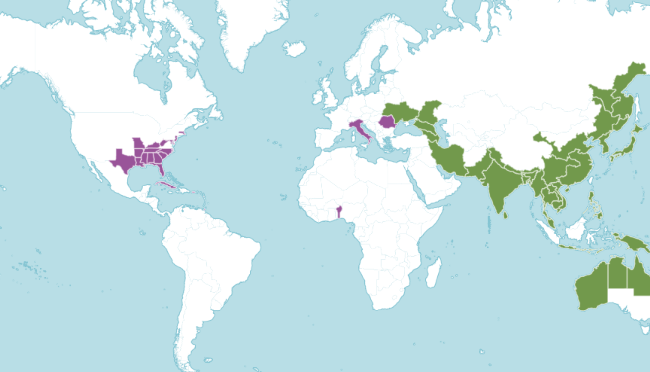 A map of the world showing where scared lotus is native and introduced to