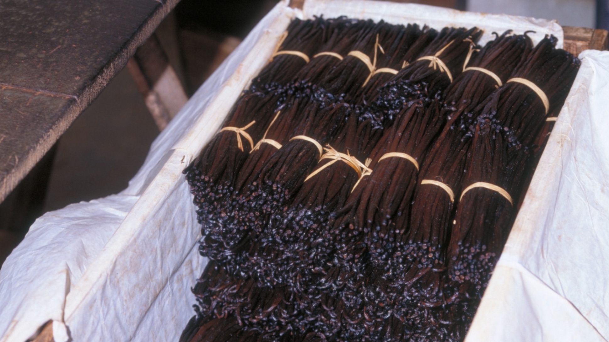 Several bundles of dark brown vanilla beans tied into bundles in a white box