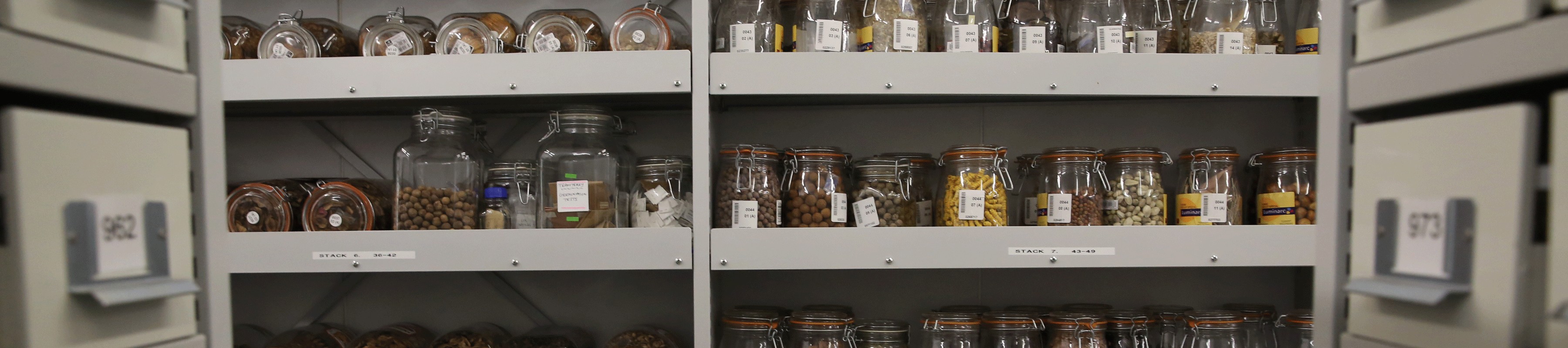 Shelves of seeds in jars contained in the Millennium Seed Bank