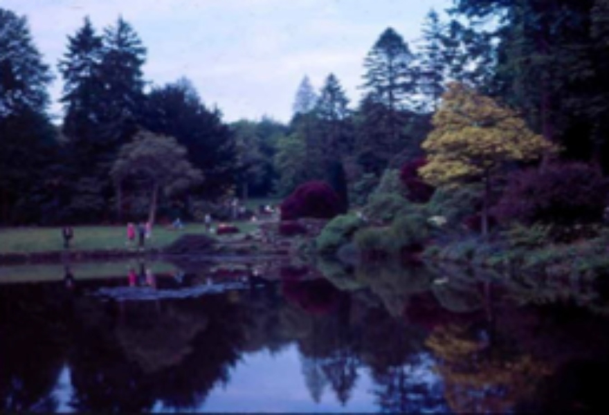 A photograph from the 1960s showing visitors walking around the Mansion Pond at Wakehurst © RBG Kew