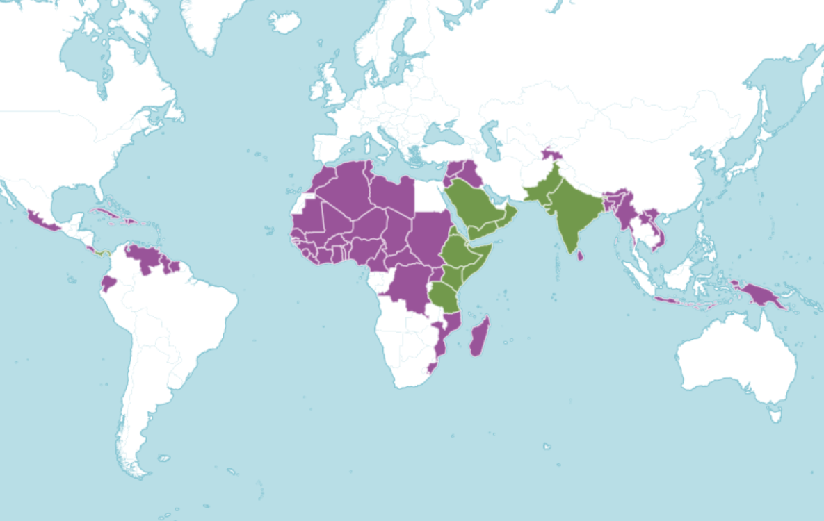 A map of the world showing where henna tree is native and introduced to
