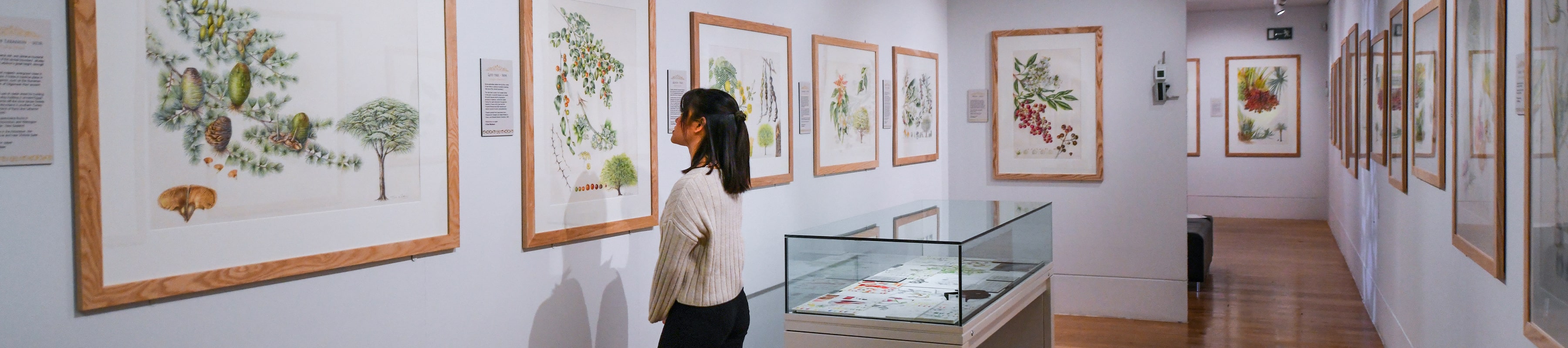 Woman inspecting botanical paintings on the wall of a gallery