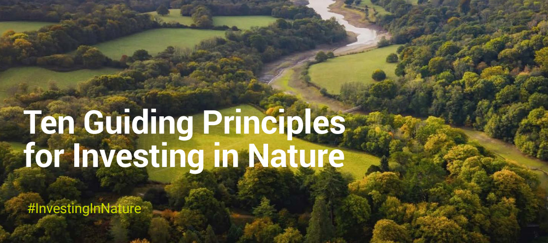 A landscape of the UK countryside with the words "Ten Guiding Principles for Investing in Nature"