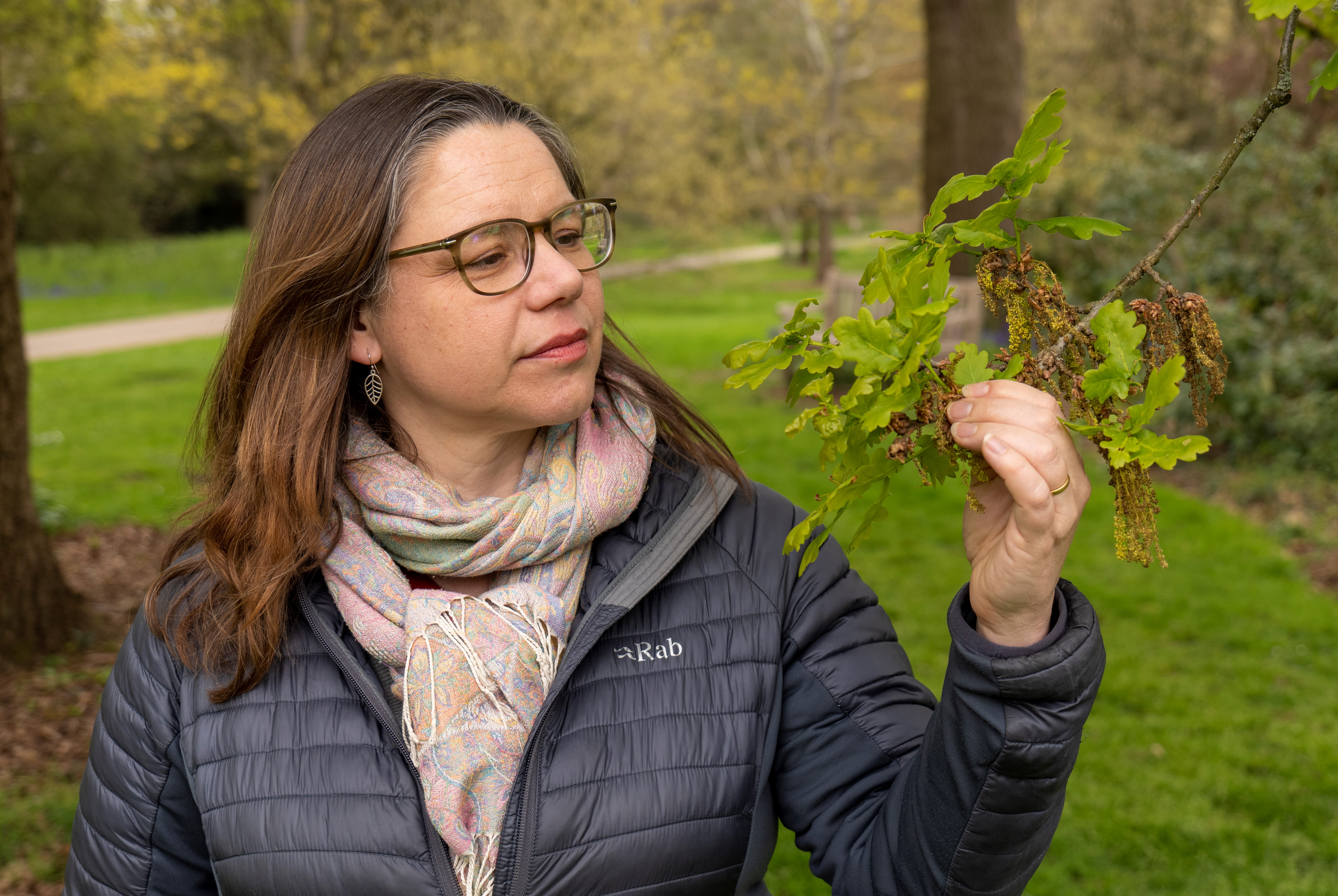 Louise Gathercole examines a healthy oak branch at Kew Gardens