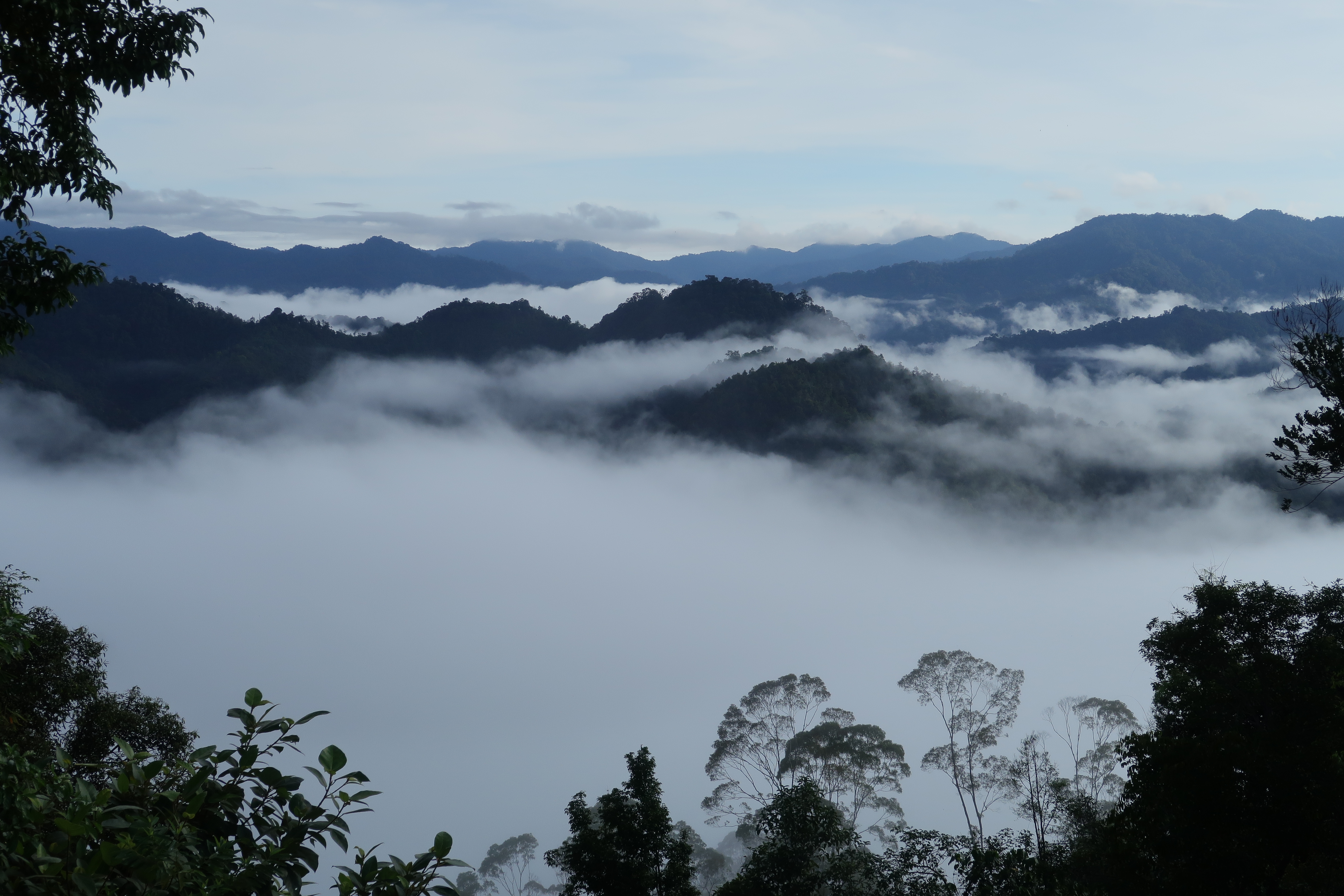 A landscape view shows forested hilltops emerging from low-lying cloud sitting in the valleys