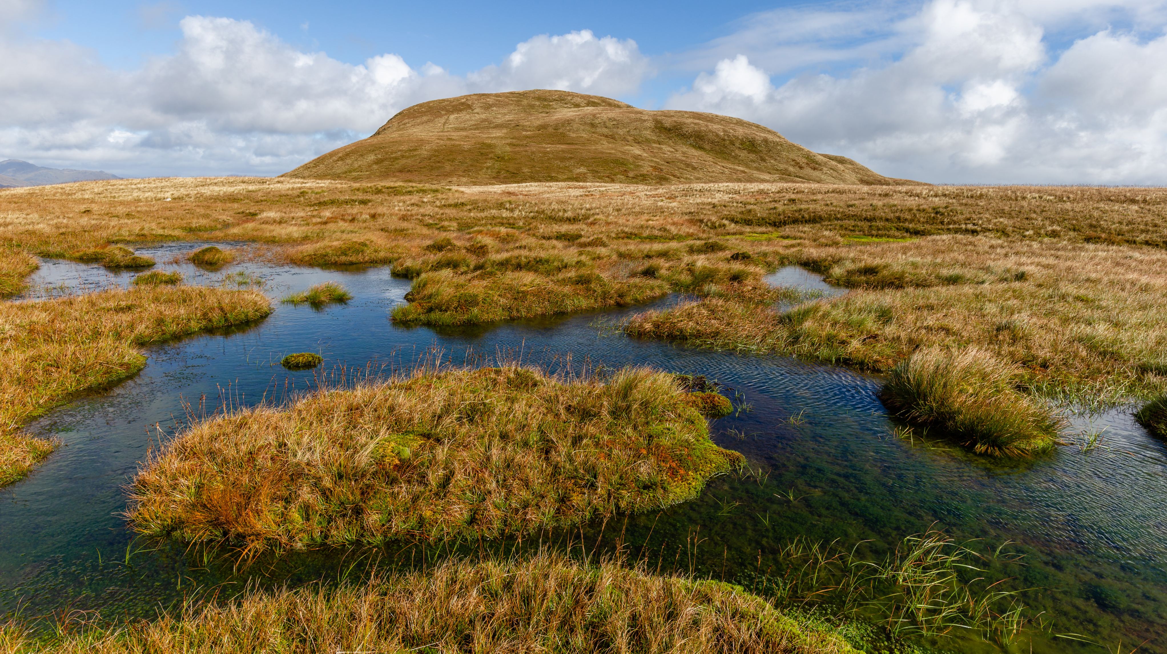Wide shot of a peat bog, the water reflecting clouds in a blue sky
