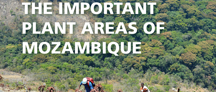 A mountain forest with the words overlaid "The Important Plant Areas of Mozambique"
