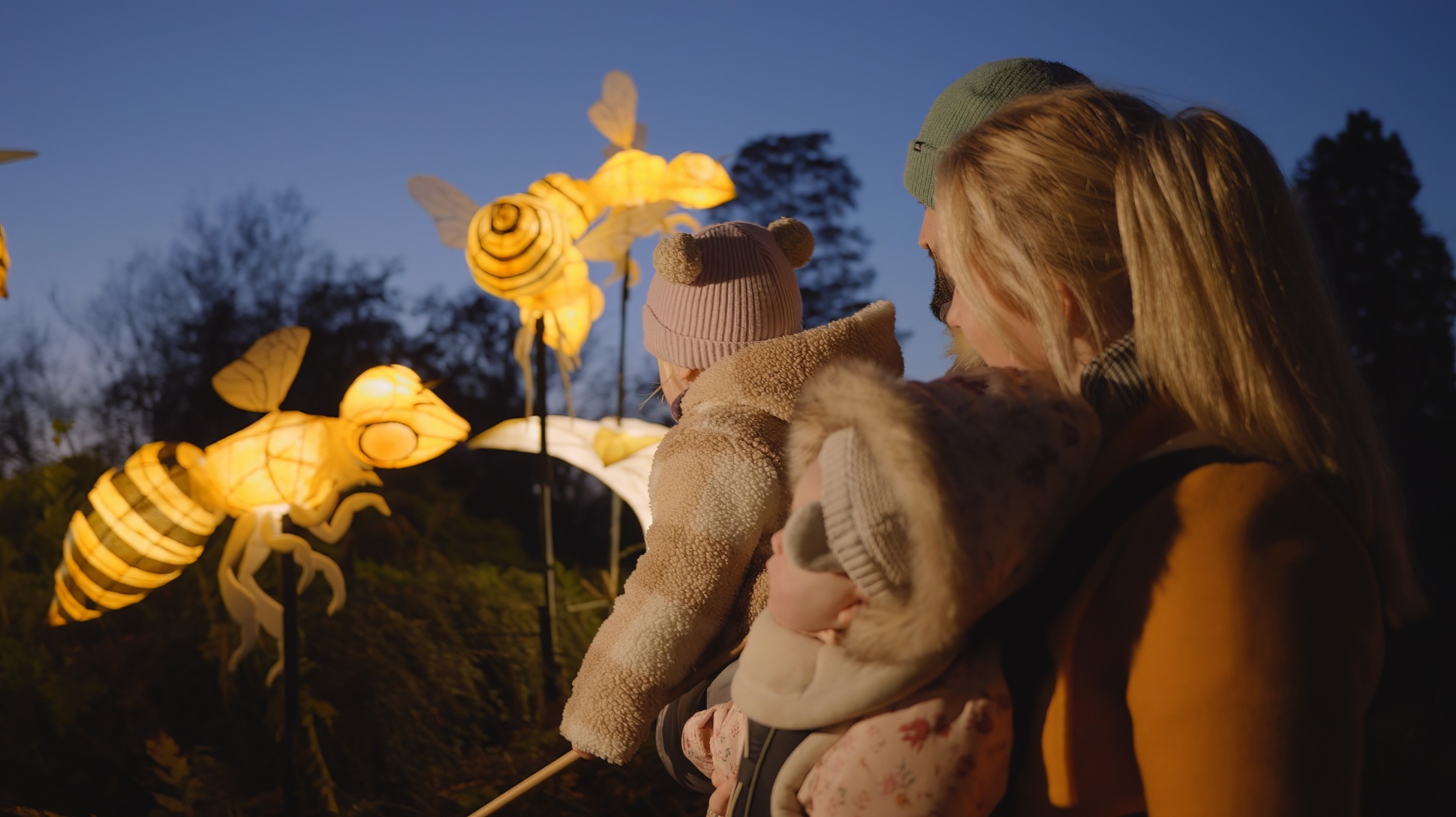 A young child reaches out to illuminated paper lanterns shaped like bees
