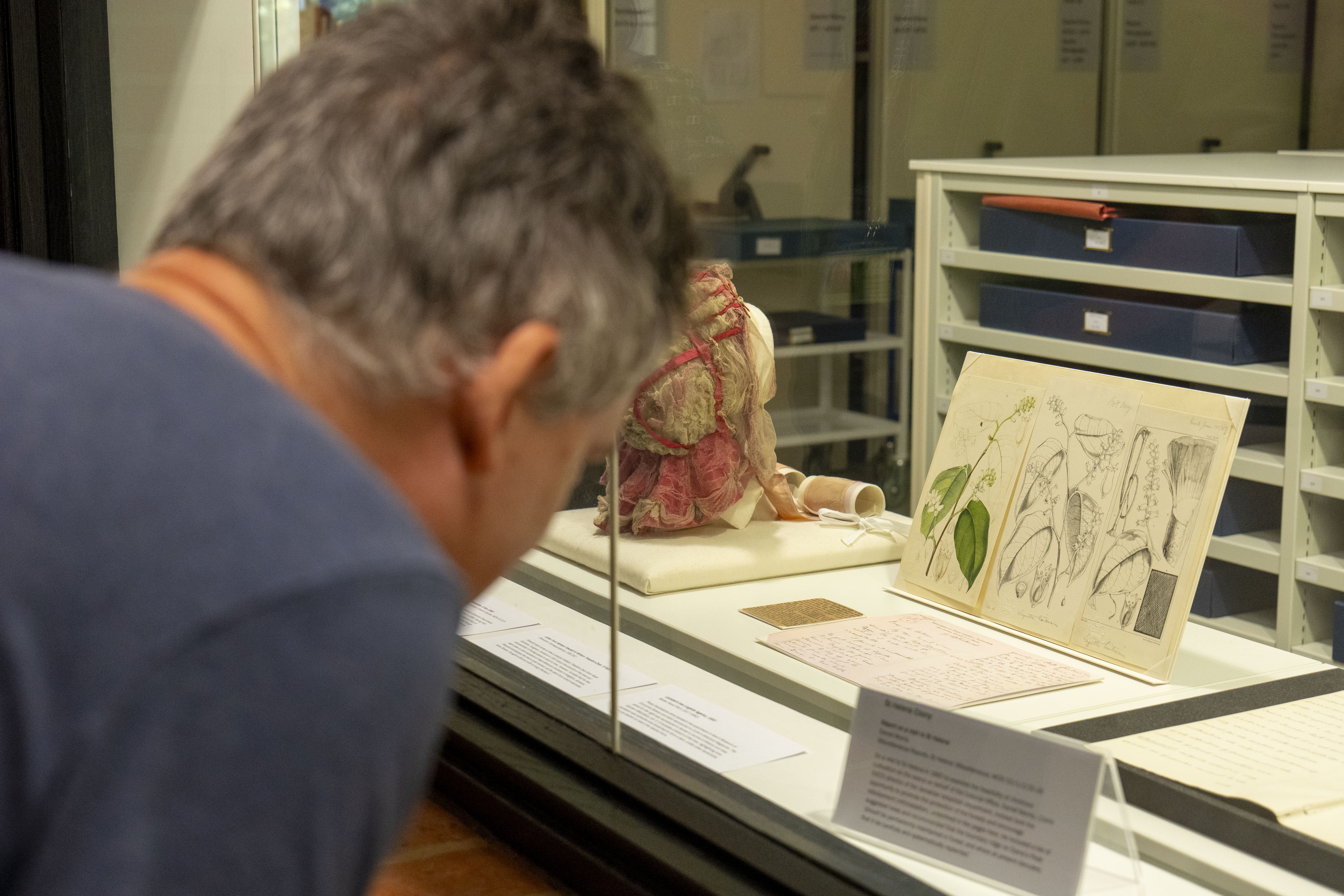 A man examines plant specimens in an exhibition