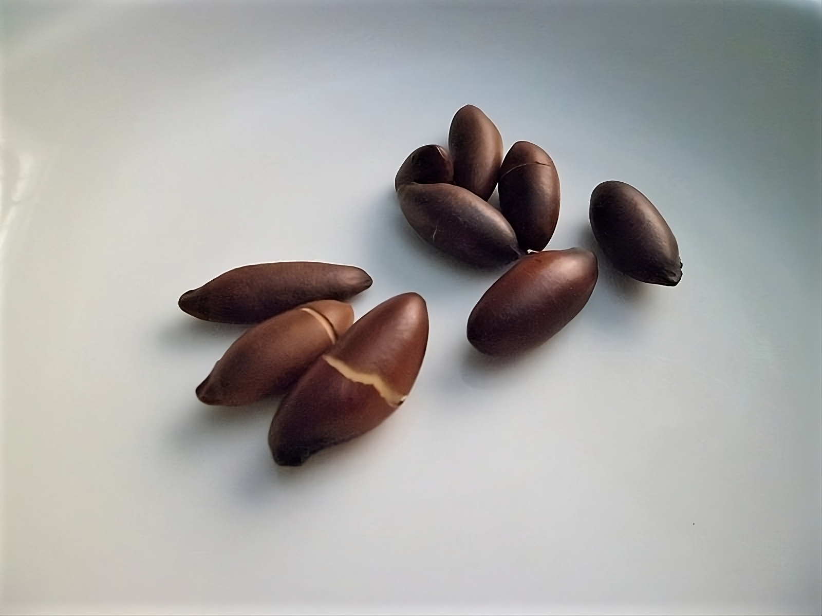 Nine baru nuts clustered together