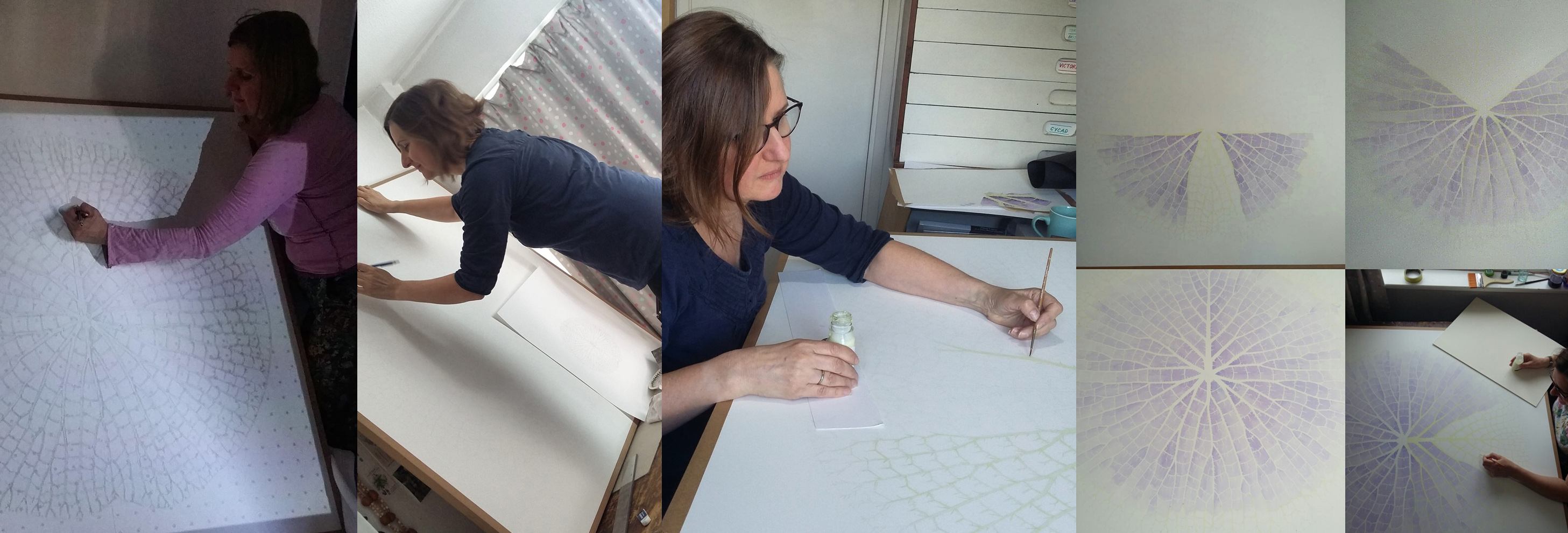 Collage of Lucy, a white woman with short brown hair, drawing, masking and starting to paint a large waterlily illustration over 1m wide
