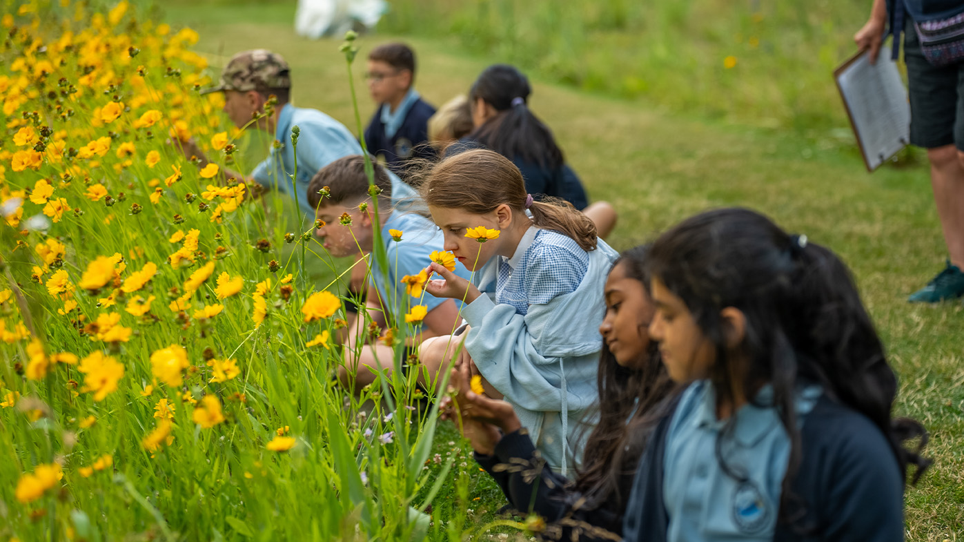 A group of schoolchildren look at yellow flowers on the American Prairie
