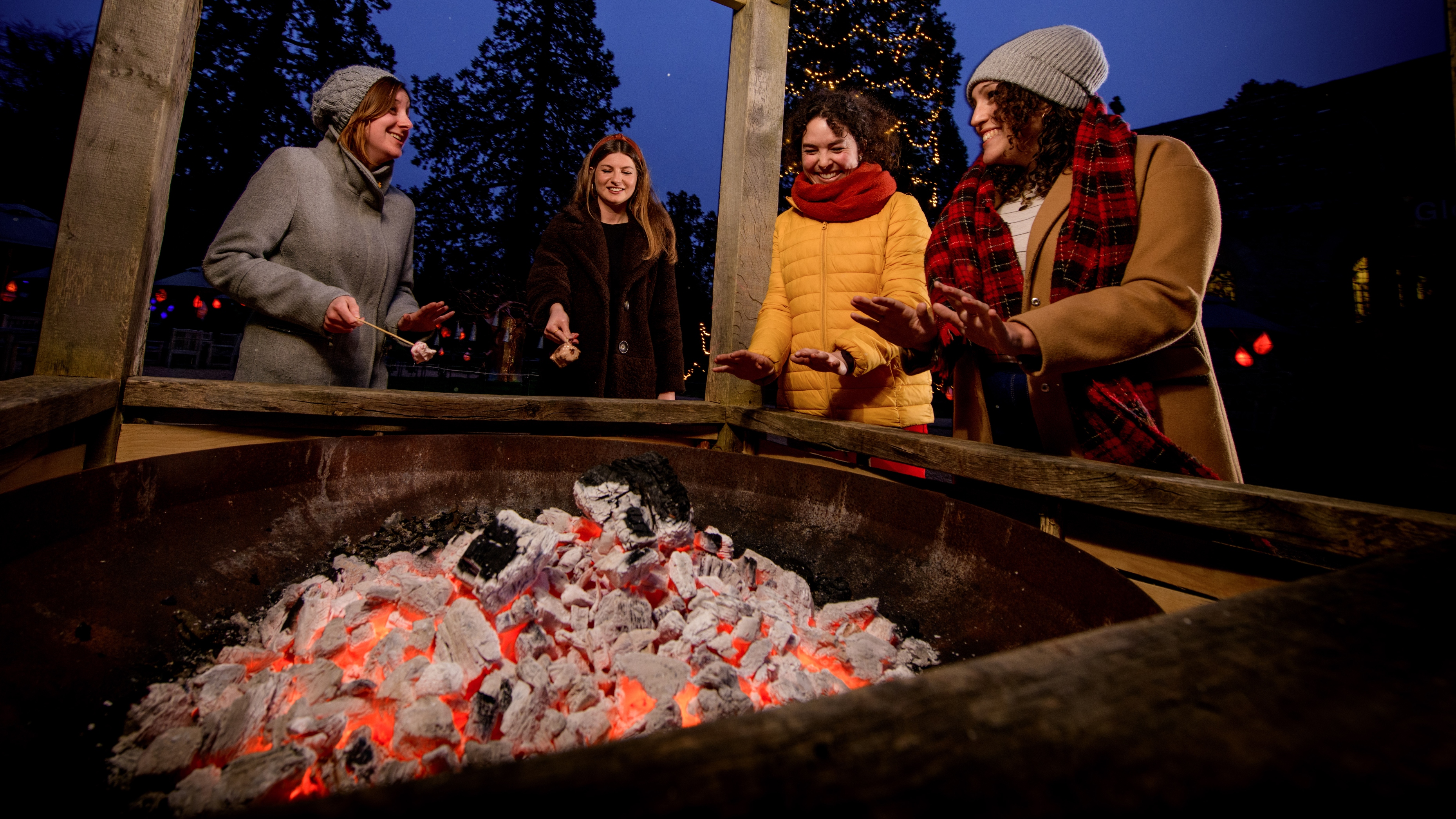 Four people warming their hands or marshmallows over a fire