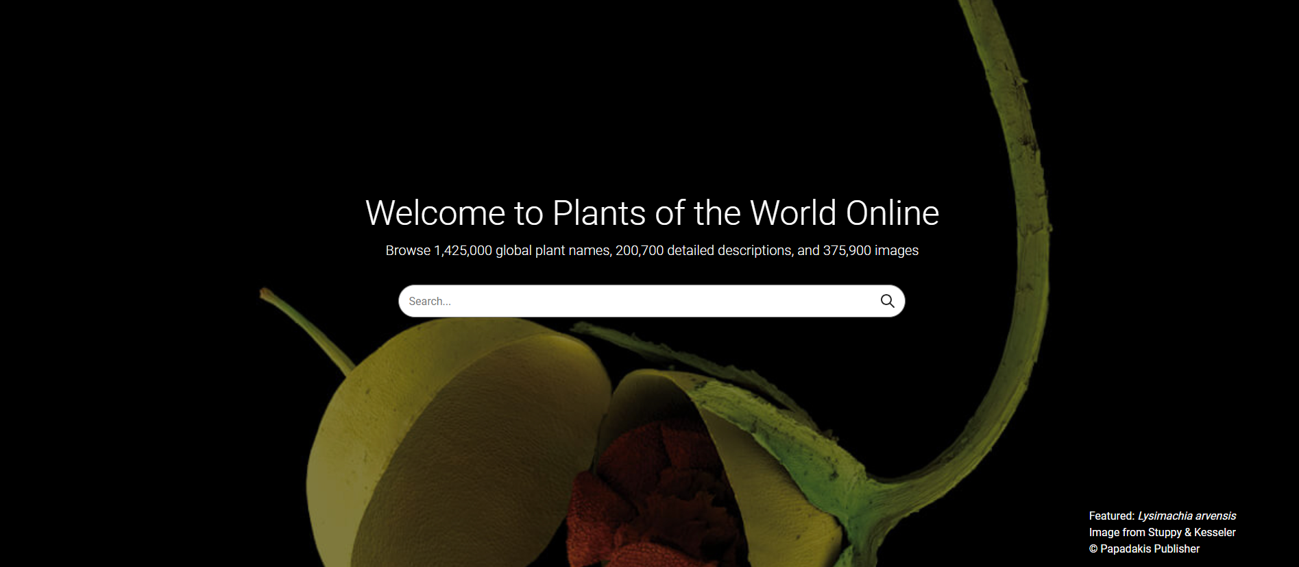 The POWO landing page features a searchbox and the text Visitors to the Plants of the World Online are greeted with an invitation to use one of the most valuable plant science resources in existence.