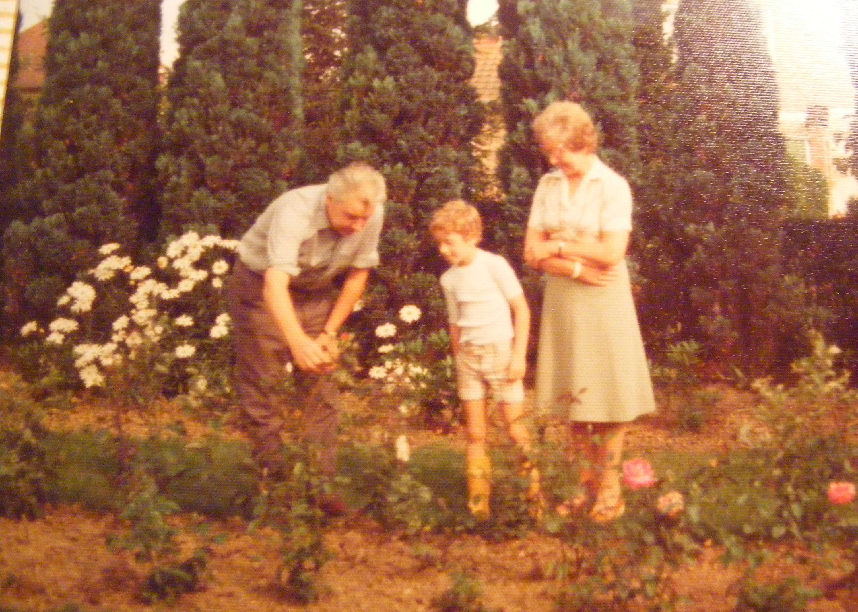 A sepia photo from the late 70s shows a Kew researcher as a child examining some garden plants