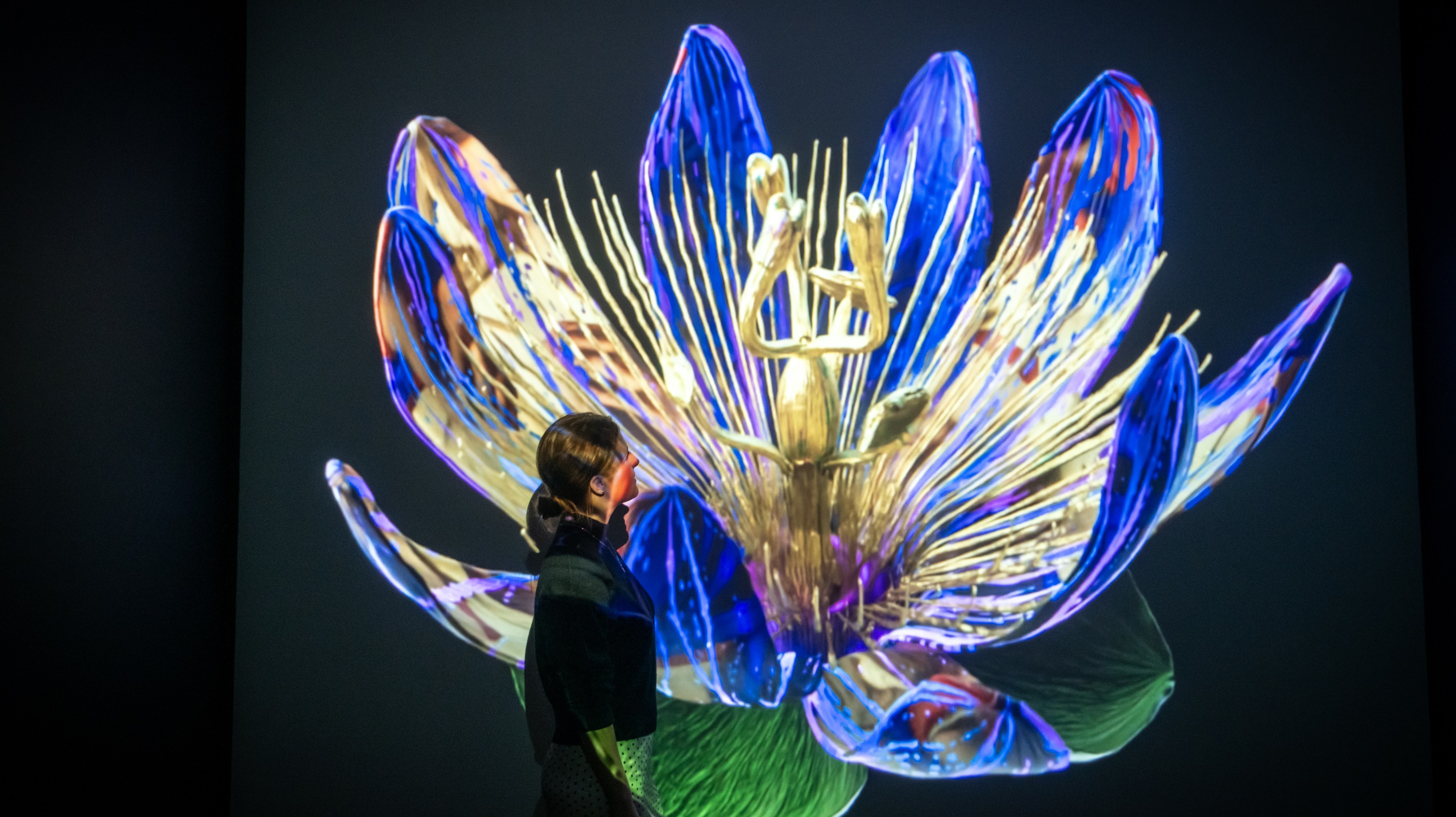 Woman stands in front of a projected image of a blue and gold computer-rendered flower
