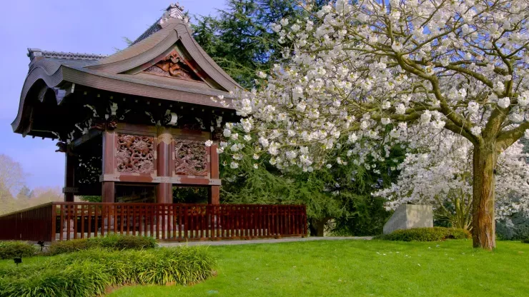 Japanese Landscape at Kew 