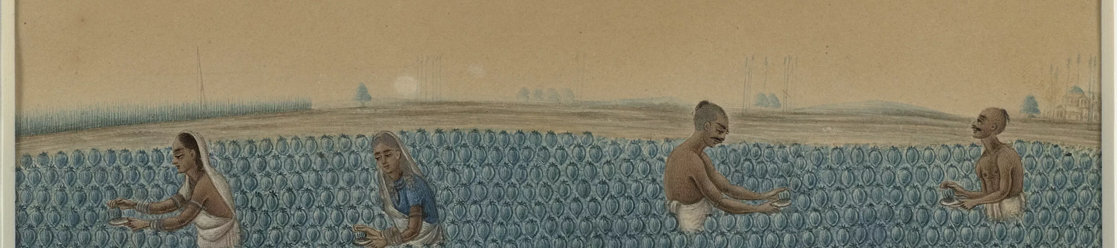 Sketch showing workers in a field gathering opium from the plant's capsules