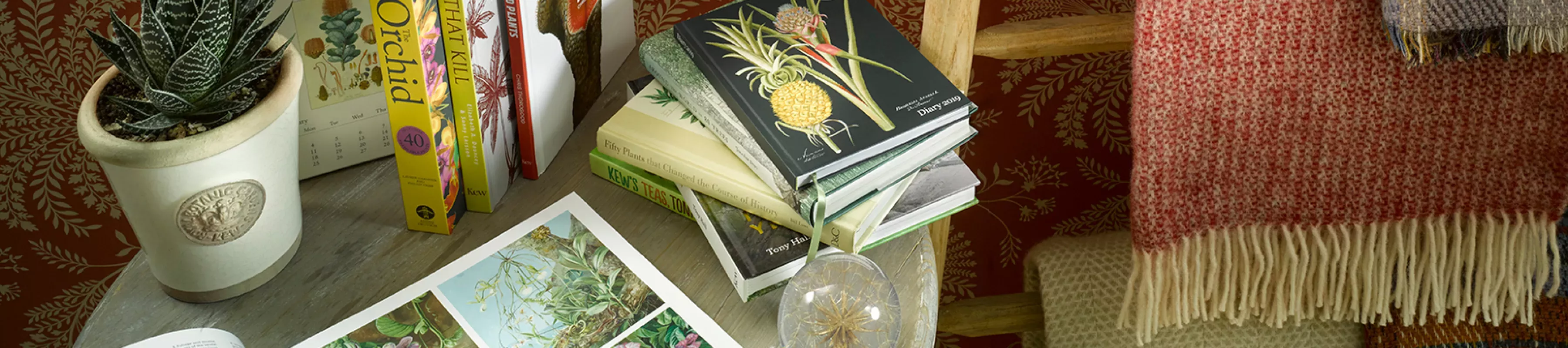 Books pulled on a coffee table along with a collection of Kew products