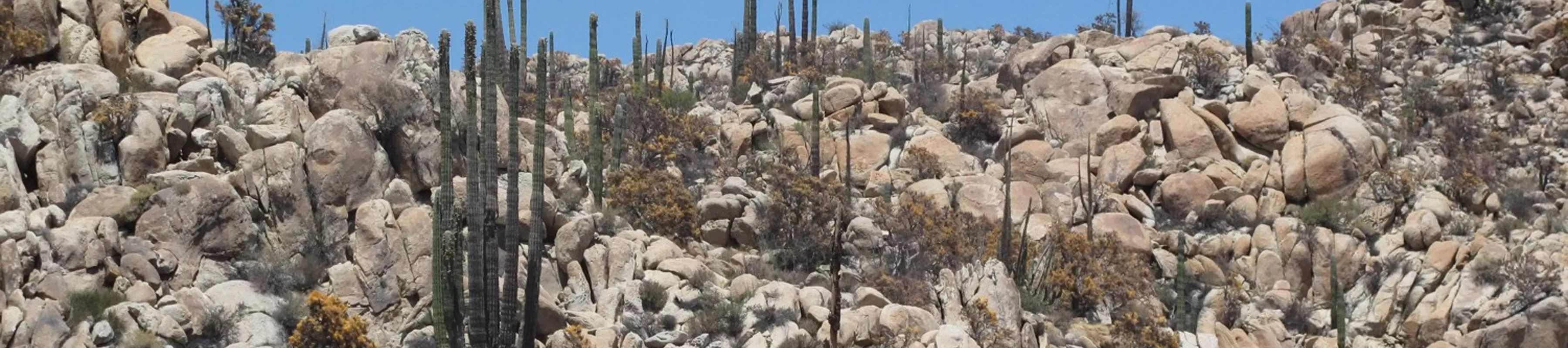 Rocky landscape in Mexico